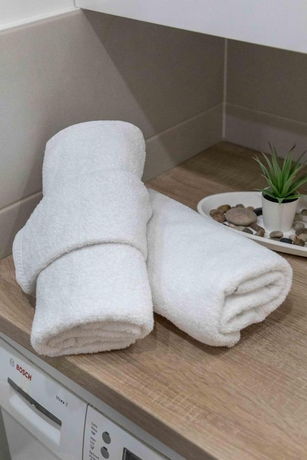 Spacious Apartment In Radnicka Business Zone - Free Parking ザグレブ エクステリア 写真